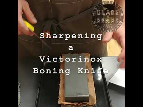 Sharpening a Victorinox Boning Knife (Whetstones) 磨刀 維氏 剔骨刀 (香港磨刀服務 & 磨刀班）