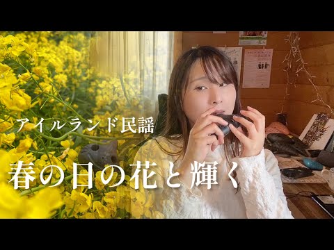 【オカリナ】春の日の花と輝く/アイルランド民謡【OCARINA & GUITAR】