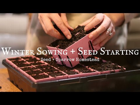 Winter Sowing + Seed Starting for the Homestead Garden