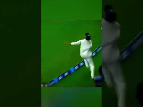 Best Catches By Ravindra Jadeja 💥 #cricket #shorts