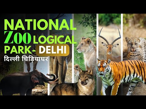 Discover the Wonders of Delhi ZOO | दिल्ली चिड़ियाघर | Zoological Park | Ticket Booking & Prices!