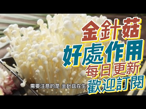 EP182 金針菇（Enoki Mushroom）的好處與作用 高營養價值 高纖維 低卡路里