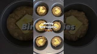 Cookies for birds #shorts #healthycookies #cookies #parrotfood #healthyfood #birdsfood#yummy