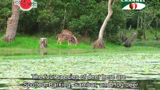 Nature and Life   Episode 48 Zoo and Safari Park