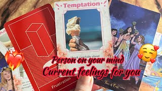 Person on your mind : Current Feeling/emotions of your person💞😍Hindi tarot card reading