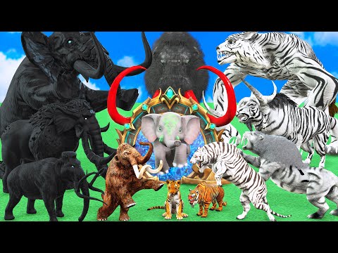 10 Black Mammoth Elephant vs 10 White Tiger Wolf Bull Fight Choose the Right Baby Animals Long Slide