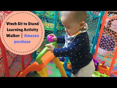 Vtech Sit to Stand Learning Activity Walker | Amazon purchase