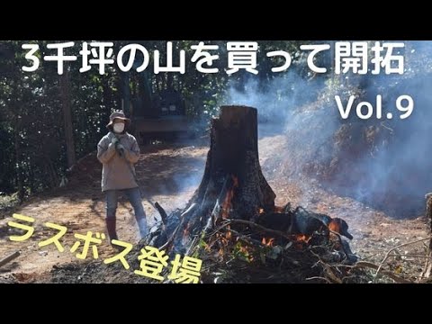 3千坪の山を買って開拓　vol9　ラスボスとの闘い