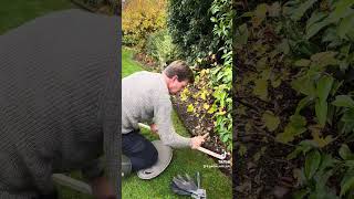 Everedge Lawn Edging