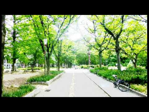 小坂一也とワゴンマスターズ さすらいの旅人／WAYFARING　STRANGER