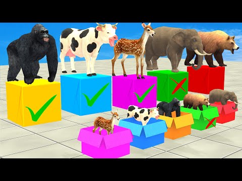 Don't Jump On The Wrong Mystery Box With Elephant Cow Lion Gorilla Wild Animals Game