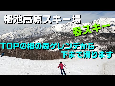 【白馬】栂池高原スキー場  春スキー  TOPの栂の森ゲレンデ～ハンの木ゲレンデ～BOTOMのゴンドラ山麓(高原駅)までを滑ります。