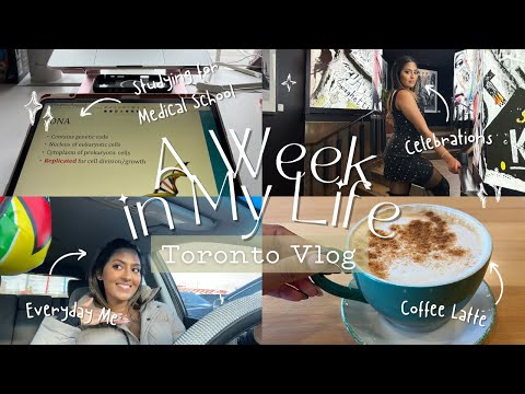 New Year in Toronto: My Final Week Before Returning to Caribbean Medical School | Studying | Packing