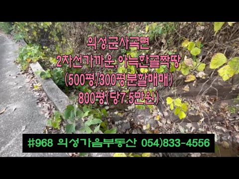 #968 의성가음부동산 도로가까운 골짝땅 정원수밭 800평 (300평/500평 분할매매가능) 5500만 (당6.9만원) 전기건축가능 확트인 전원주택지 개울샘물철철 #의성땅#주말농장