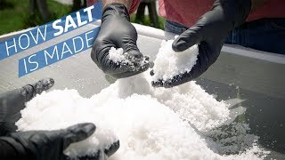 Where Does Salt Come From? — How to Make It