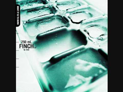 Finch- Grey Matter