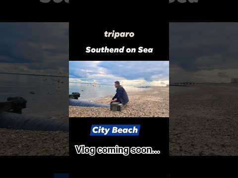 Day trip from London Summer Vibes at Southend #daytrip #summervibes #southend #beach #foryou #tiktok