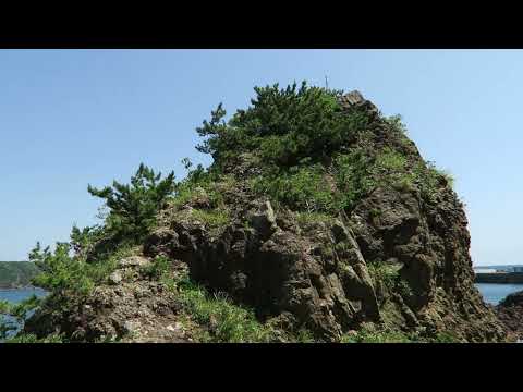 下田 赤根島の海岸