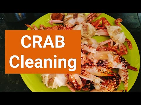 crab cleaning at home | crab cleaning techniques | easy crab cleaning