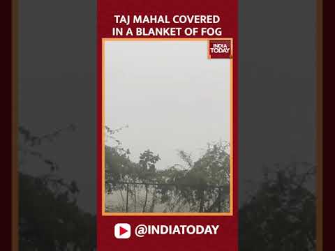 Visuals Of Taj Mahal Being Covered In The Blanket Of Fog Due To Winter In Agra #shorts #tajmahal