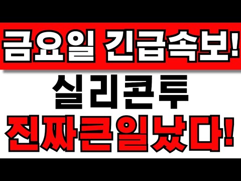 [실리콘투 주가전망] 주주님들 필수시청! 앞으로 이렇게 대응하세요