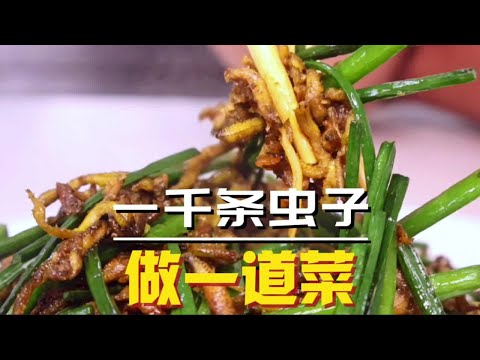 用上千条虫子做成一道菜是什么体验？好吃到无法形容，但别贪吃哦