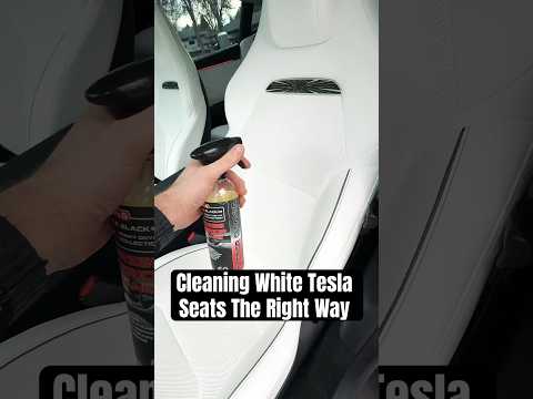 Cleaning My Model 3’s White Seats For The First Time 🧼🤢