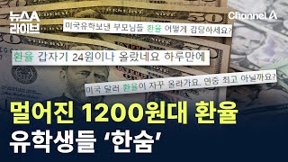 멀어진 1200원대 환율…달러 강세에 유학생들 ‘한숨’ / 채널A / 뉴스A 라이브