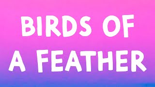 Billie Eilish - BIRDS OF A FEATHER (Lyrics)