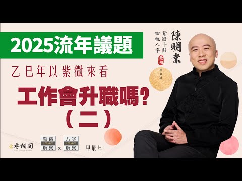 流年議題 | 2025年你的工作會不會異動（二）《紫微解密》(字幕版)