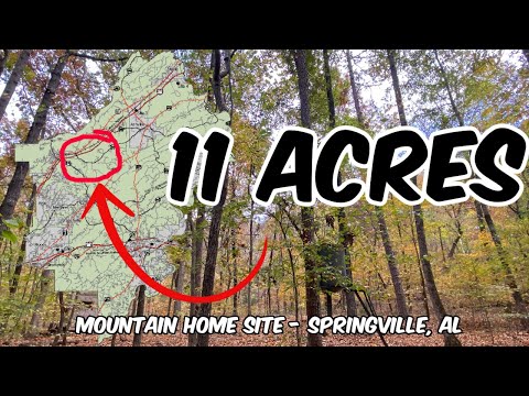 11 Acre Mountain Homestead Building Site  Alabama Land For Sale