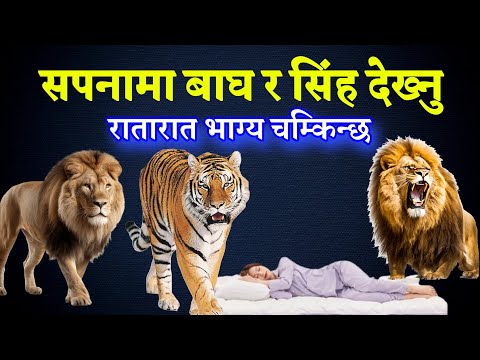 Sapanako fal, सपनाको संकेत, sapanama gaai dekhnu, Dream In See Cow, सपनाको अर्थ, सपनामा गाई देख्नु