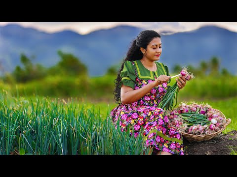 A delicacy of Onions🧅Traditional Sri Lankan recipes & finally to the dinner table with Chicken Kottu