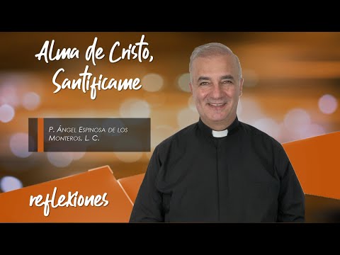 Alma de Cristo, Santifícame - Padre Ángel Espinosa de los Monteros