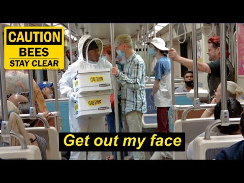 Releasing Live Bees On People In the Train Prank