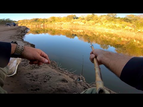 PESCA con POCO DINERO "Como hacer cañas de pesca caseras" . PESCA URBANA