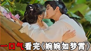 霸道城主爱上仇人之女，相爱相杀的复仇，一口气看完《婉婉如梦霄》