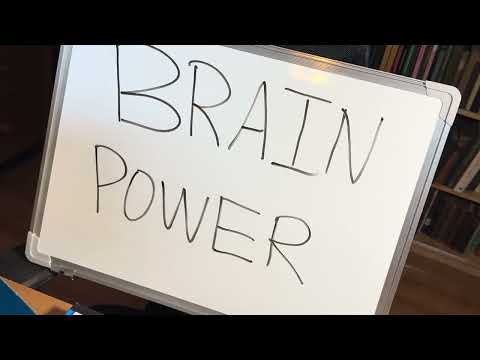 Brain Power