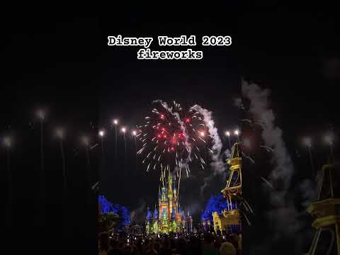 Disney World Fireworks Finale #florida #firework #magickingdom #waltdisneyworld