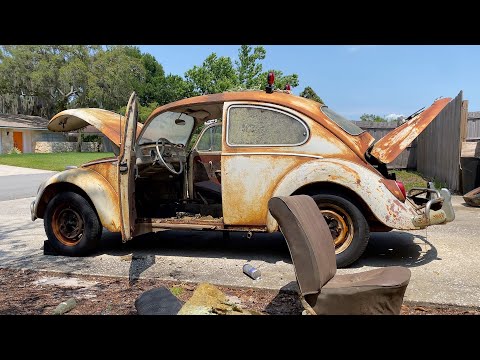 VW Beetle Barn Find  - First Wash In Decades!