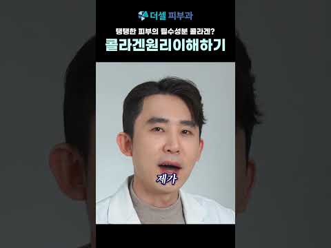 피부의 필수성분 콜라겐 원리 이해하기