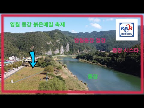 [영월부동산TV] 영월동강메밀꽃 축제 / 영월부동산 / 영월토지 / 영월토지매매 / 영월부동산