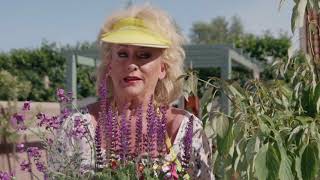 Karin Bloemen - Karins Tuintips (Introductie)