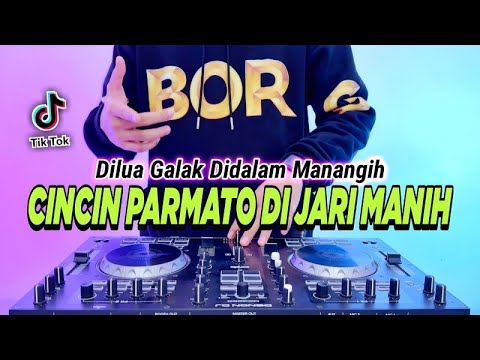 DJ CINCIN PARMATO DI JARI MANIH REMIX FULL BASS TIKTOK TERBARU 2023 | DILUA GALAK DIDALAM MANANGIH