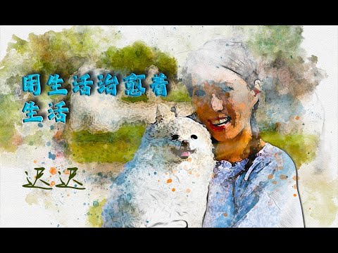 迟迟 - 用生活治愈着生活 (用生活治愈生活 在平凡中找寻不凡 每一次呼吸都是新的开始)