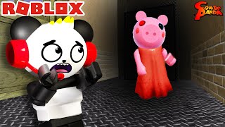 Escape from PIGGY in Roblox! Let’s Play Roblox Piggy with Combo Panda