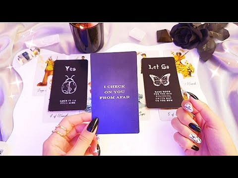 Their CURRENT Feelings For You 🤔♥️ PICK A CARD (Timeless)