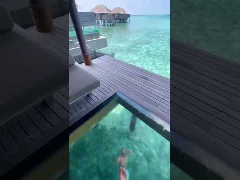 PRIVATE Island Maldives it's Amazing! #maldives #shorts