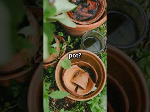 Top 5 Garden Hacks You Need!