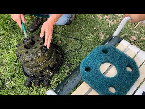 Cleaning a Duck Pond Filter & Pump After 2 Weeks! OOPS! | Raising Ducks